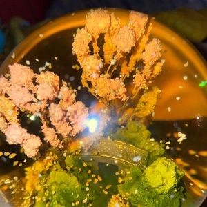 Cherry Blossom Snow Globe